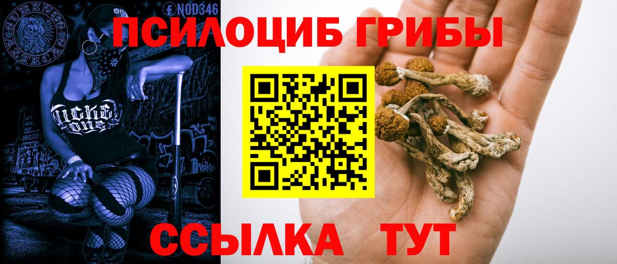 Псилоцибиновые грибы Magic Shrooms Аргун
