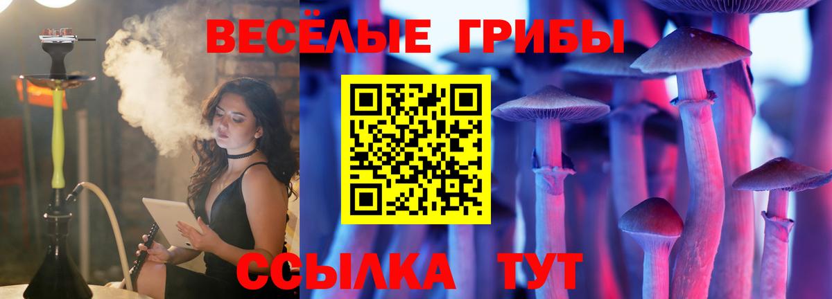 Аргун  Галлюциногенные грибы Cubensis  как найти наркотики  Вход с VPN 